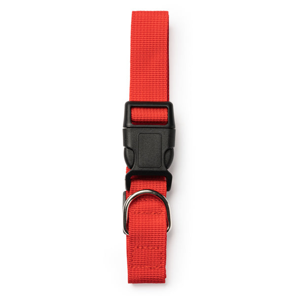 Dog collar KORAT