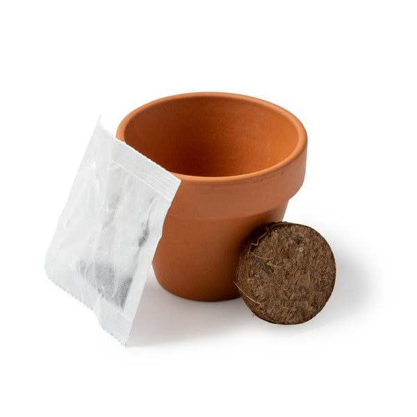 Flower pot GIRAX