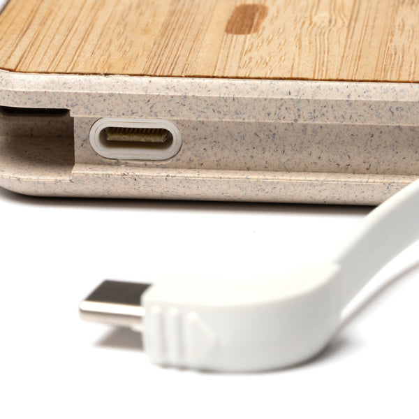 Powerbank BRENER