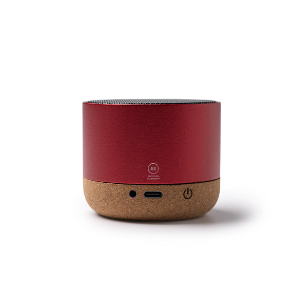Speaker VOXEL