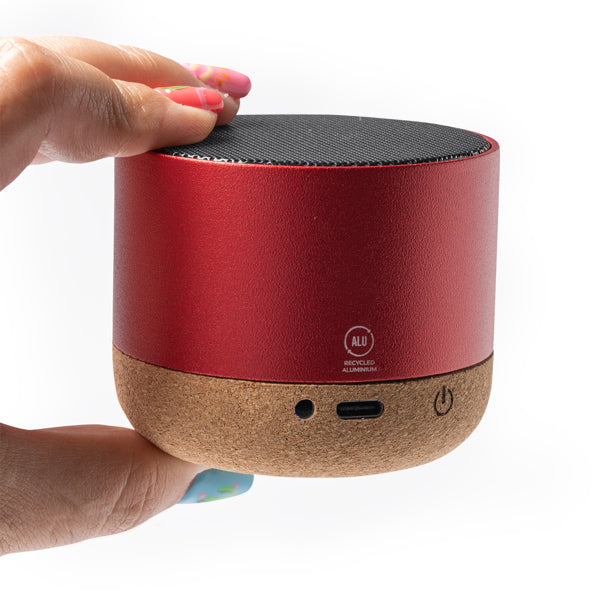 Speaker VOXEL