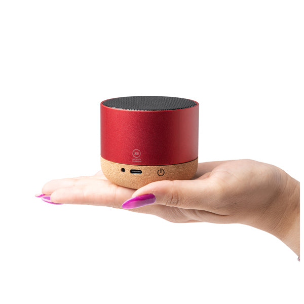Speaker VOXEL