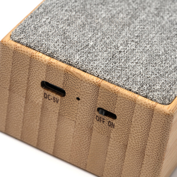 Speaker BUFER