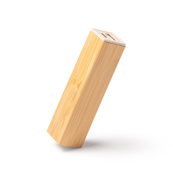 Power bank MUNTER