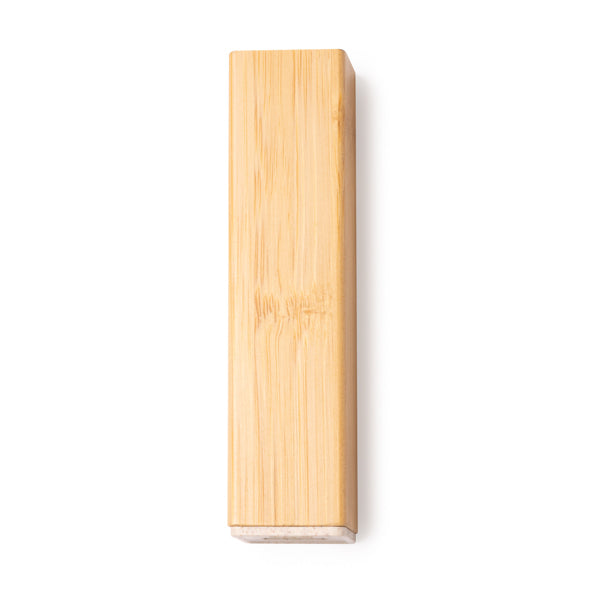 Power bank MUNTER