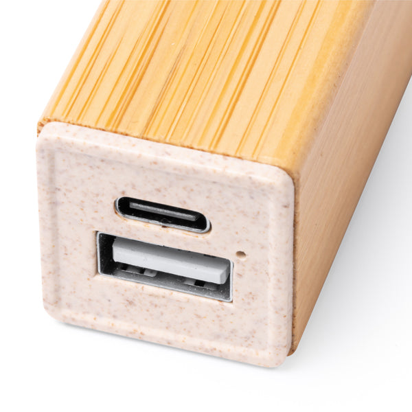 Power bank MUNTER