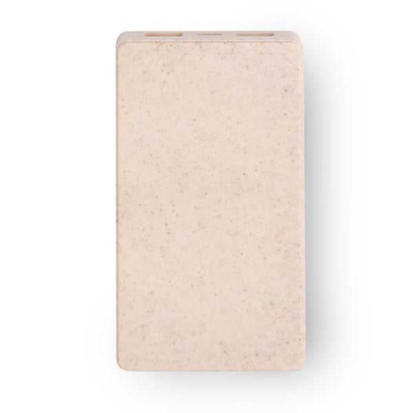 Power bank BRUKIN