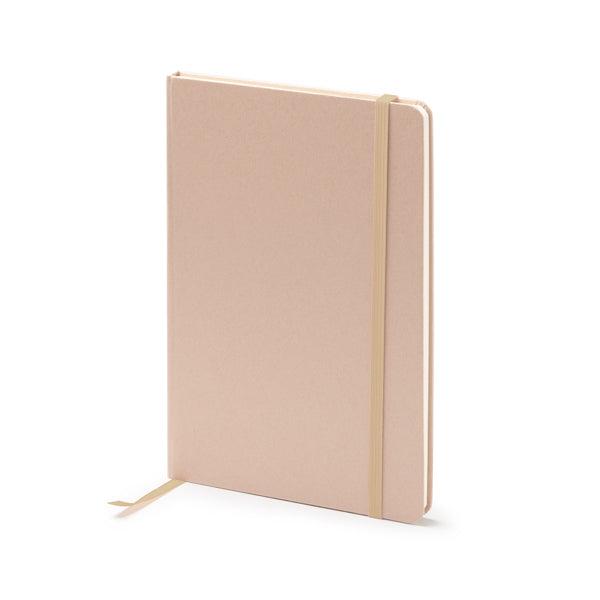 Notebook FRUTI