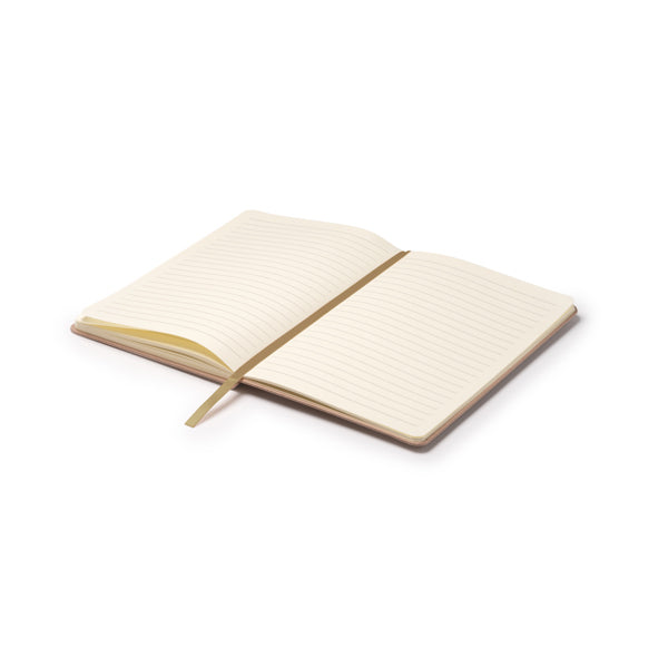 Notebook FRUTI