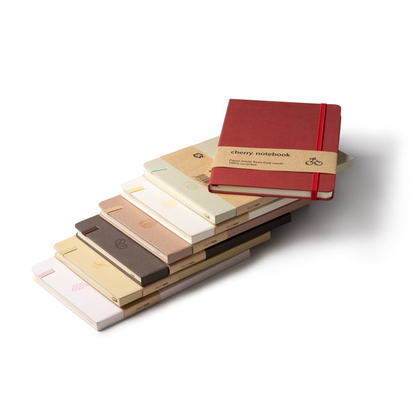 Notebook FRUTI