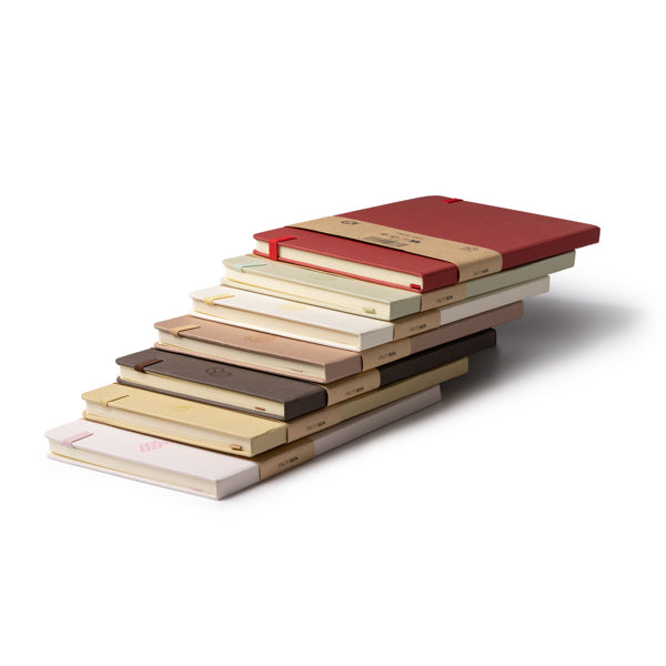 Notebook FRUTI