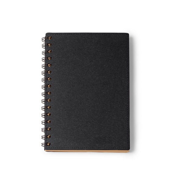 Notebook NUSAX