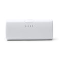 Power bank BIPER