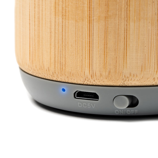 Speaker SOLUM