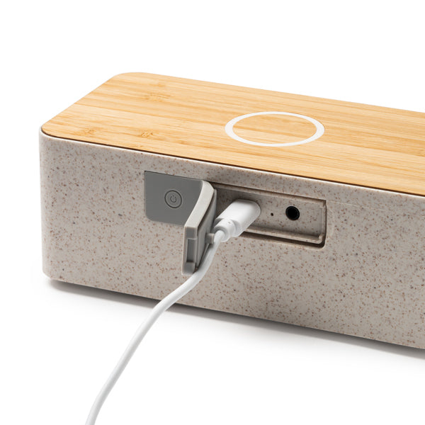 Speaker ZATOX