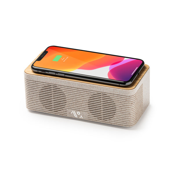Speaker ZATOX