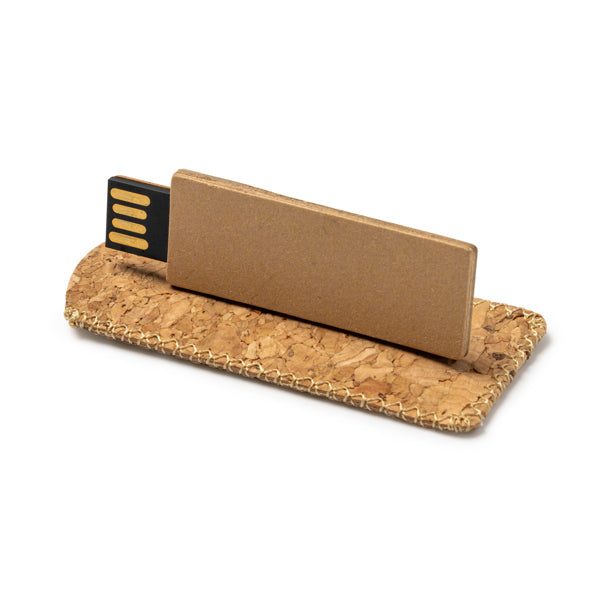 Pen drive LEDES
