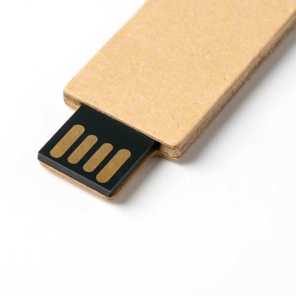 Pen drive LEDES