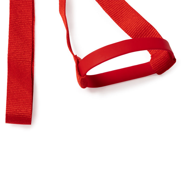 Lanyard ALDAZ