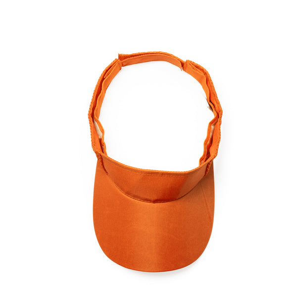 Visor WIZER