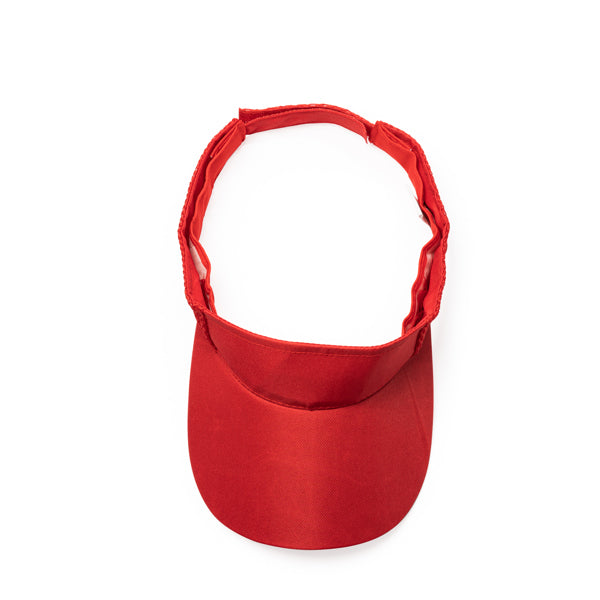 Visor WIZER